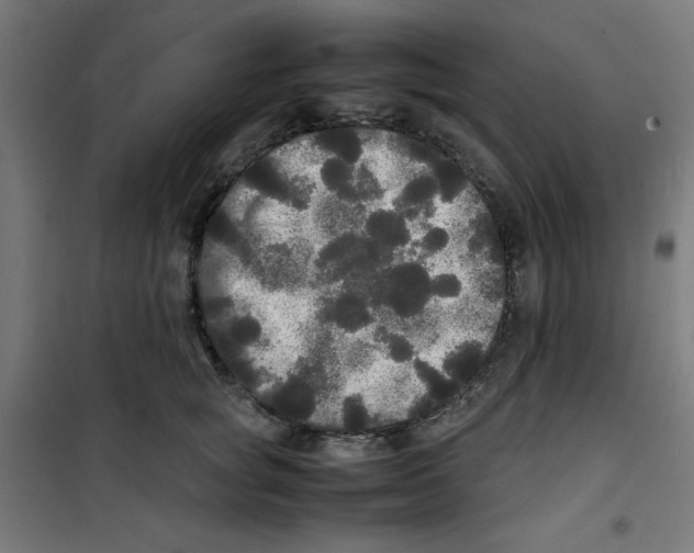 X0000100310757200807031146