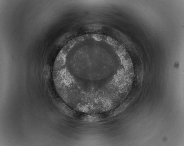 X0000100310758200807031146