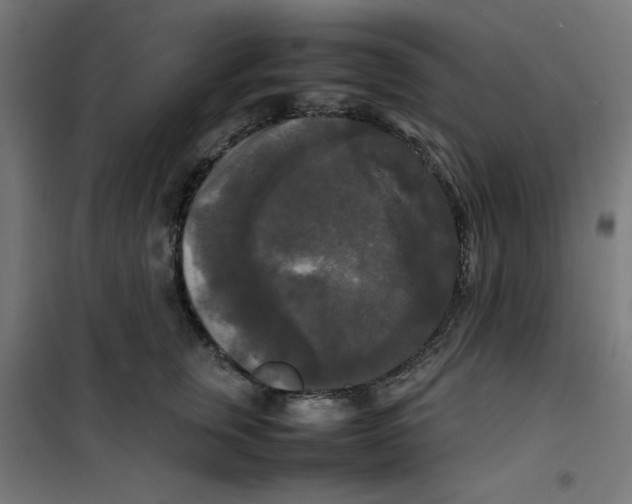 X0000100310759200807031146