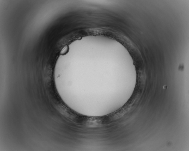 X0000100310760200807031146