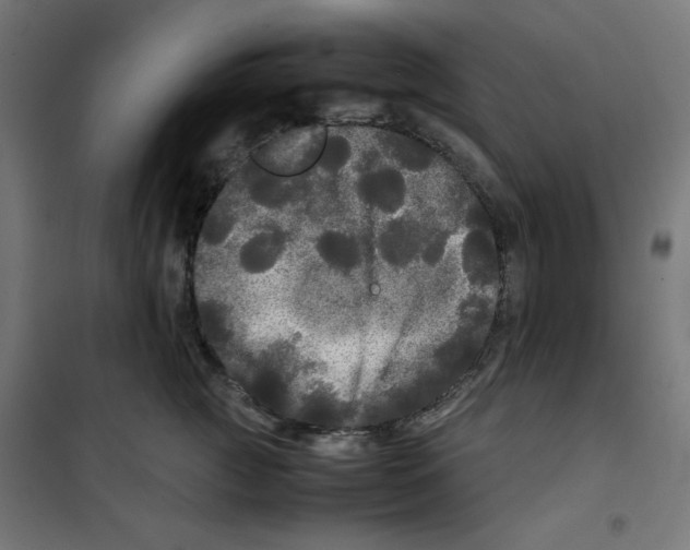 X0000100310761200807031146