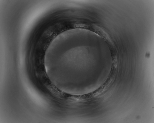 X0000100310763200807031146