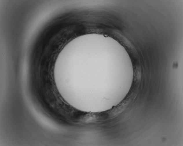 X0000100310764200807031146