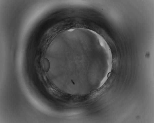 X0000100310765200807031146