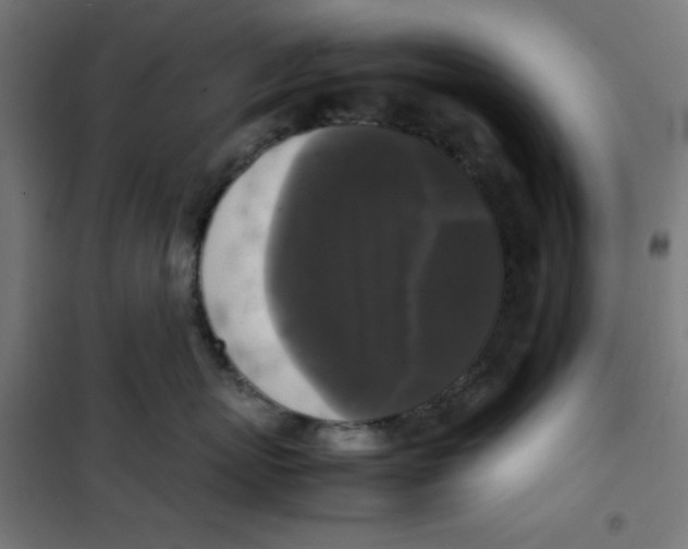 X0000100310767200807031146