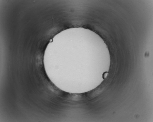 X0000100310768200807031146
