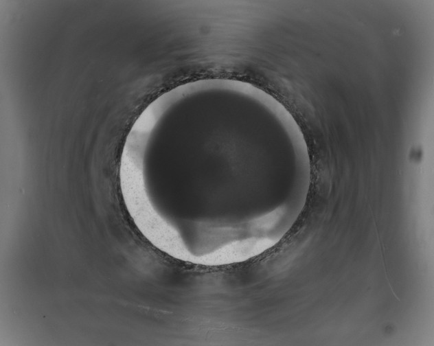X0000100310769200807031146