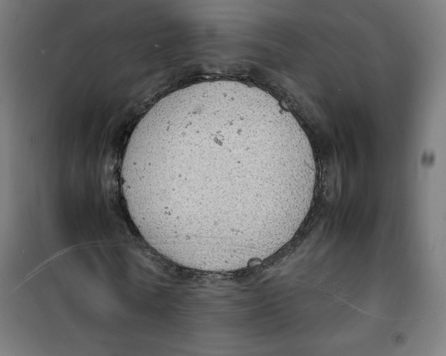 X0000100310770200807031146