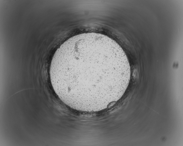 X0000100310771200807031146