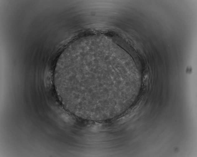 X0000100310772200807031146