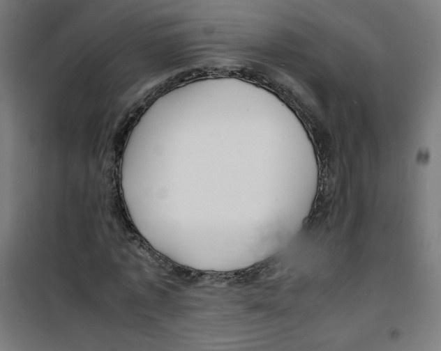 X0000100310773200807031146