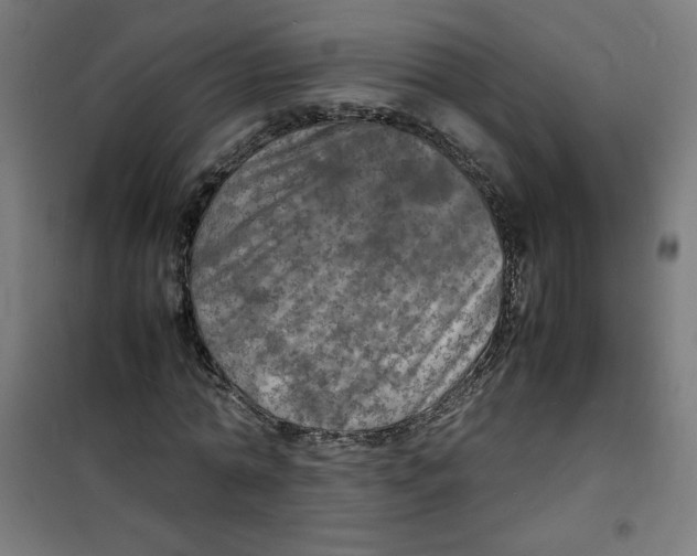 X0000100310774200807031146