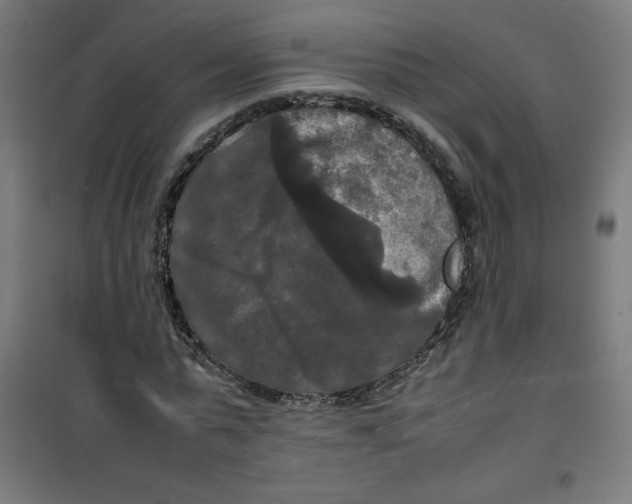 X0000100310775200807031146