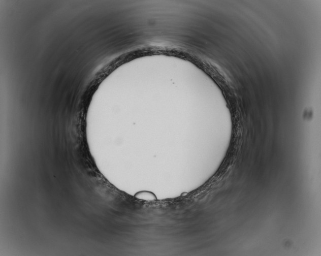 X0000100310776200807031146