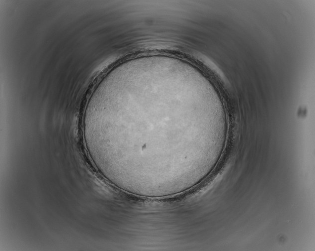 X0000100310777200807031146