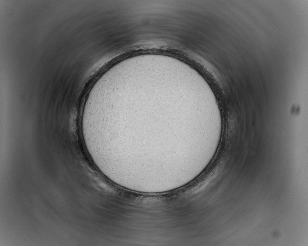 X0000100310778200807031146