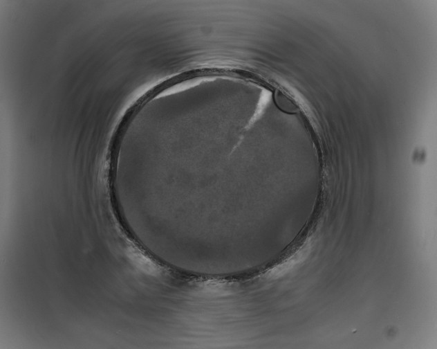 X0000100310779200807031146