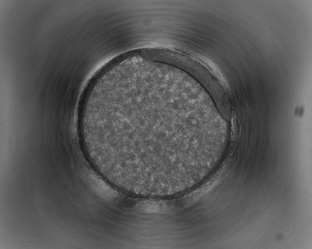 X0000100310780200807031146