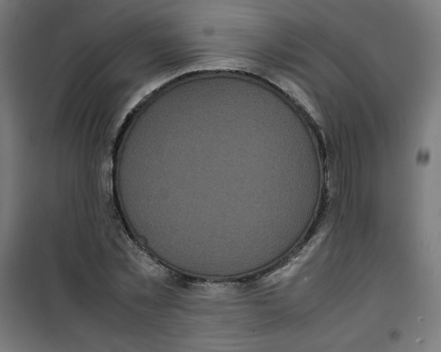 X0000100310781200807031145