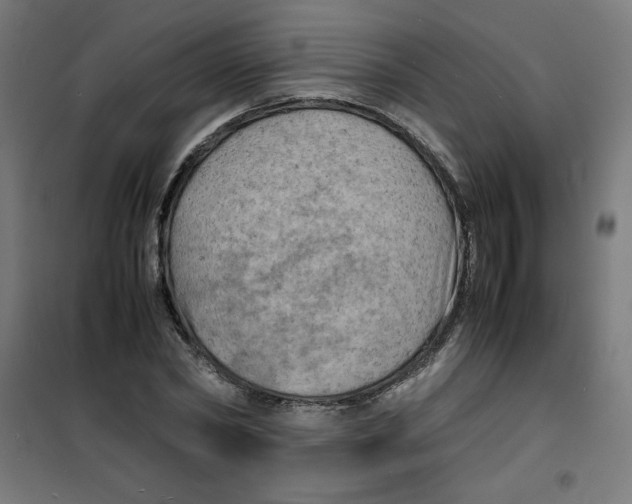 X0000100310782200807031145