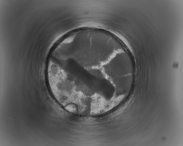 X0000100310783200807031145