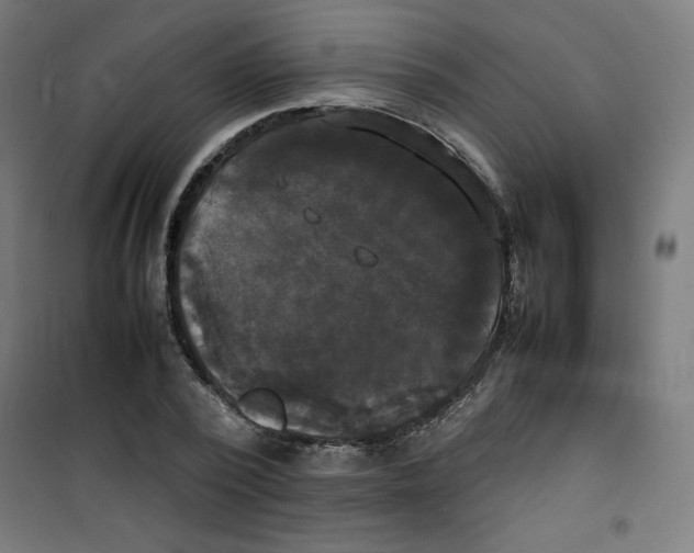 X0000100310784200807031145