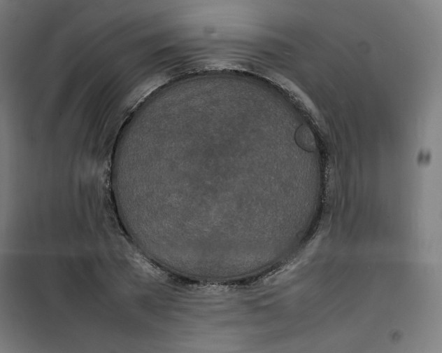 X0000100310785200807031145