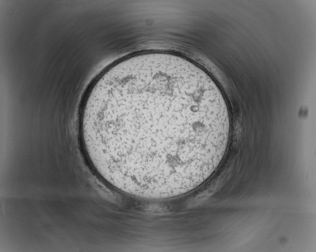 X0000100310787200807031145