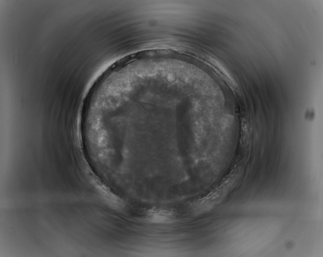 X0000100310788200807031145