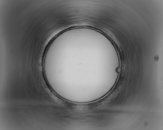 X0000100310789200807031145