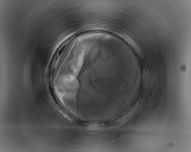 X0000100310790200807031145