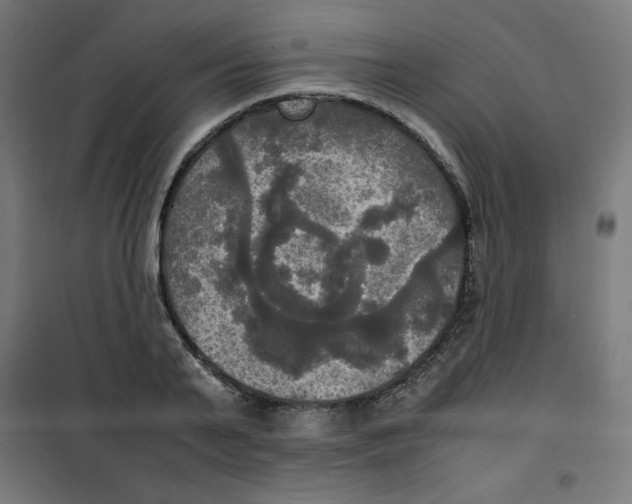 X0000100310791200807031145