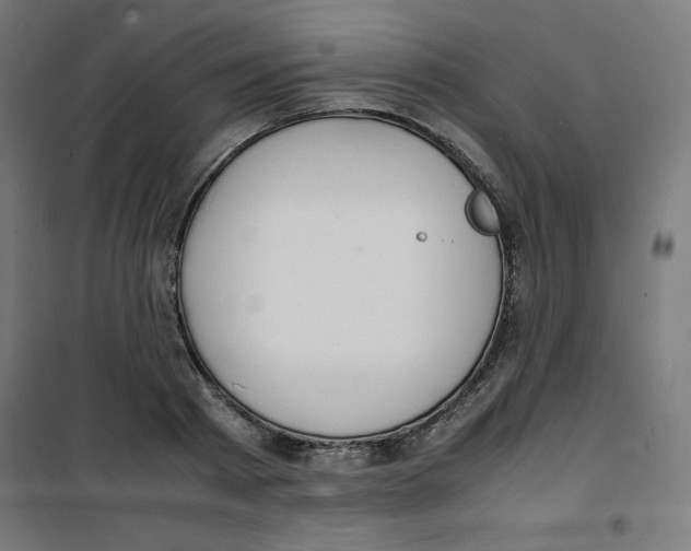 X0000100310793200807031145