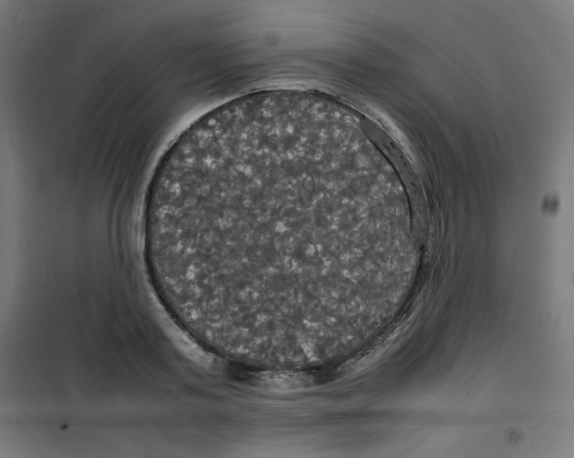 X0000100310795200807031145