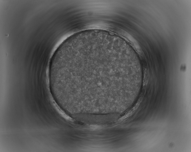 X0000100310796200807031145