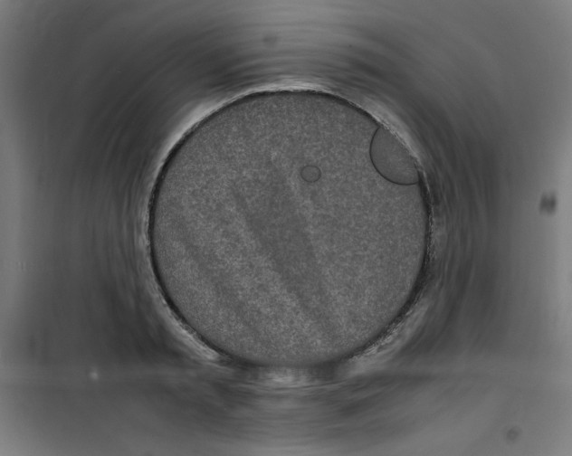 X0000100310797200807031145