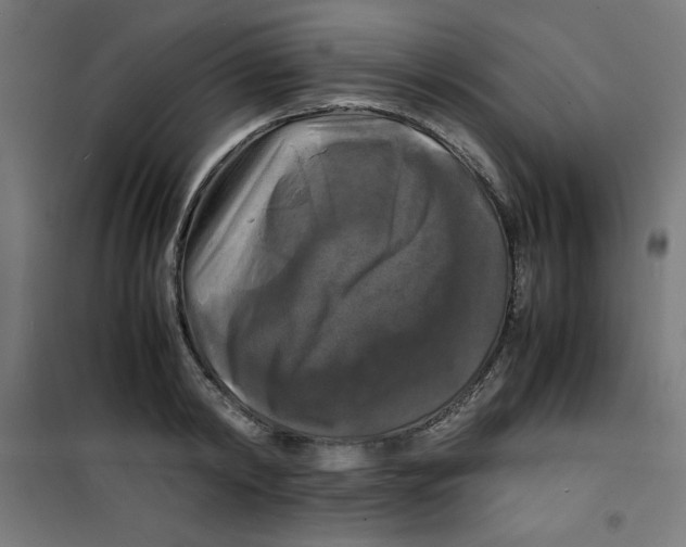 X0000100310798200807031145