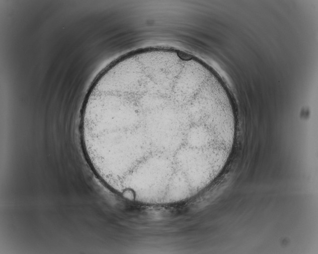 X0000100310799200807031145