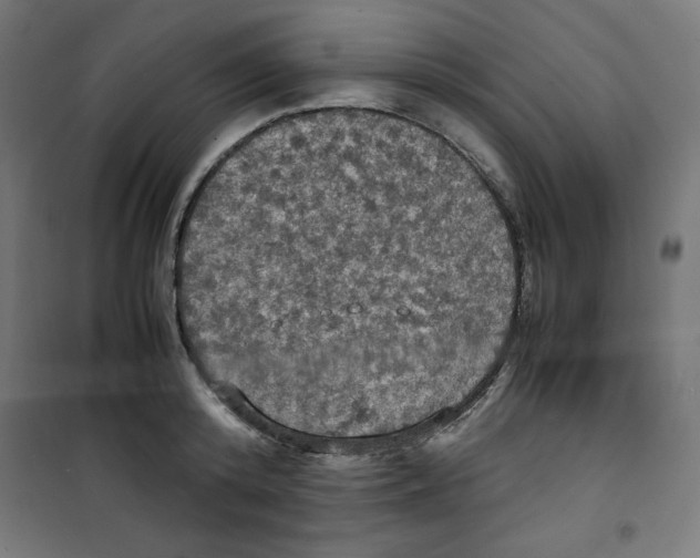 X0000100310800200807031145