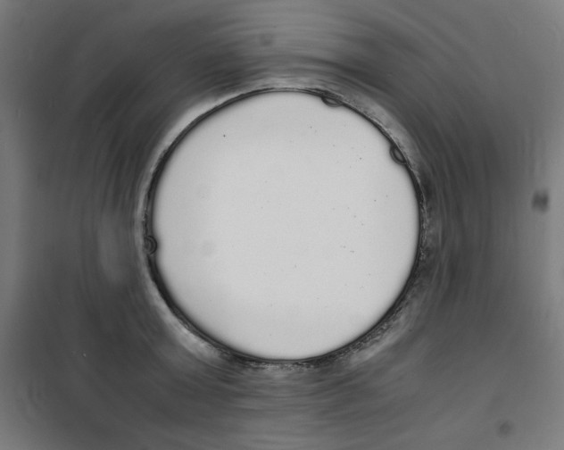X0000100310803200807031145