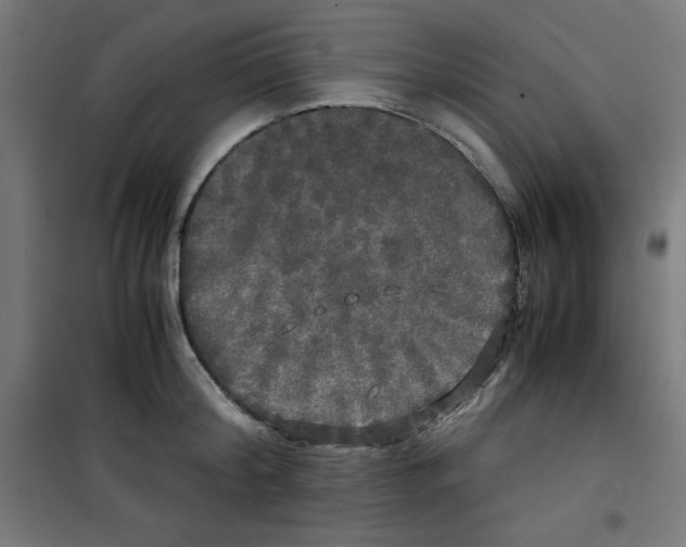 X0000100310804200807031145