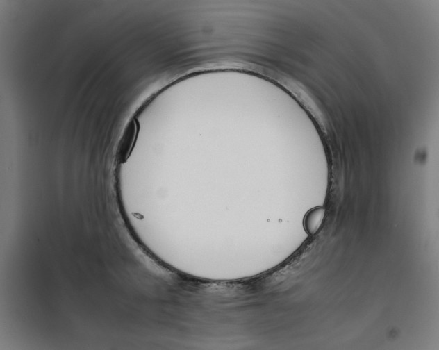X0000100310805200807031145