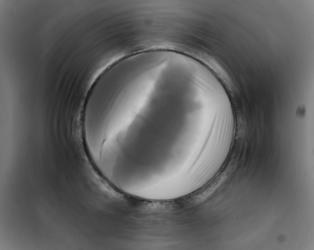 X0000100310806200807031145