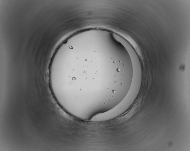 X0000100310807200807031145