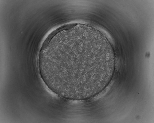 X0000100310808200807031145