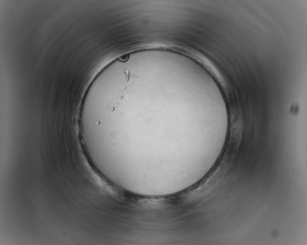 X0000100310810200807031145