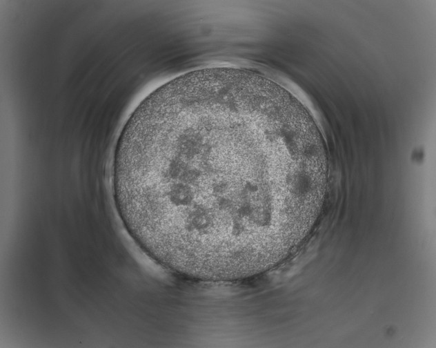 X0000100310811200807031145