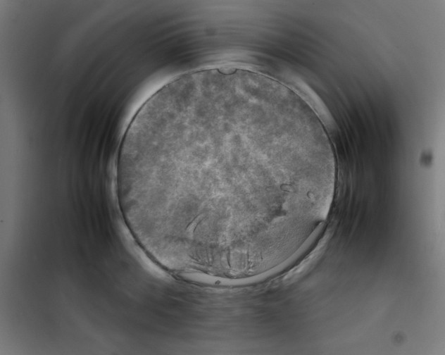 X0000100310812200807031145
