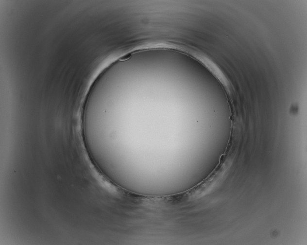 X0000100310813200807031145