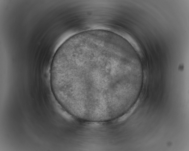 X0000100310814200807031145